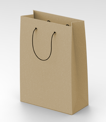 Standard Kraft Paper Bags